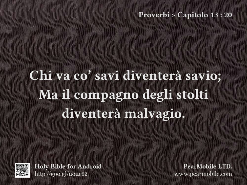 Proverbi, Capitolo 13:20